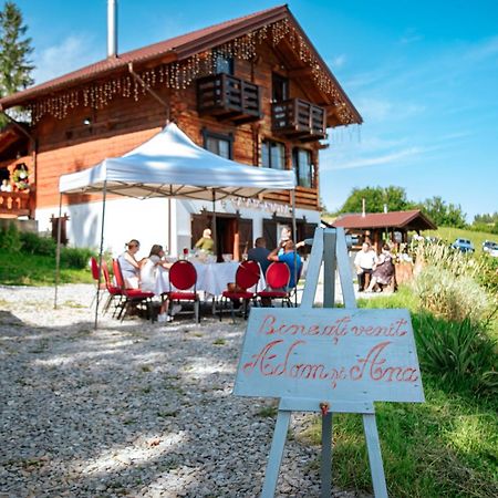 Tulean Cabin Bed and Breakfast Săcel Exterior foto