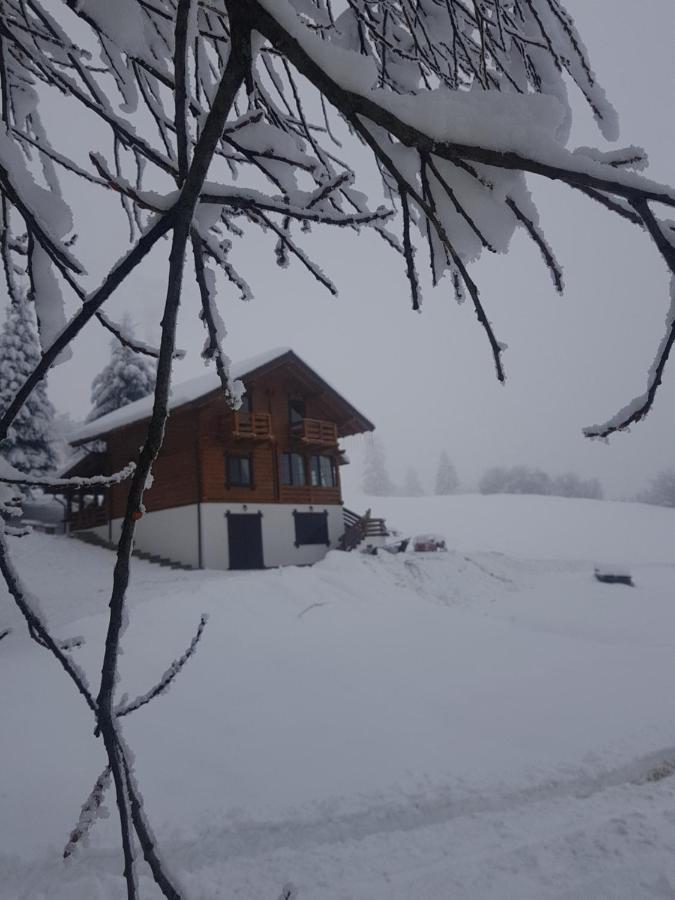 Tulean Cabin Săcel Exterior foto