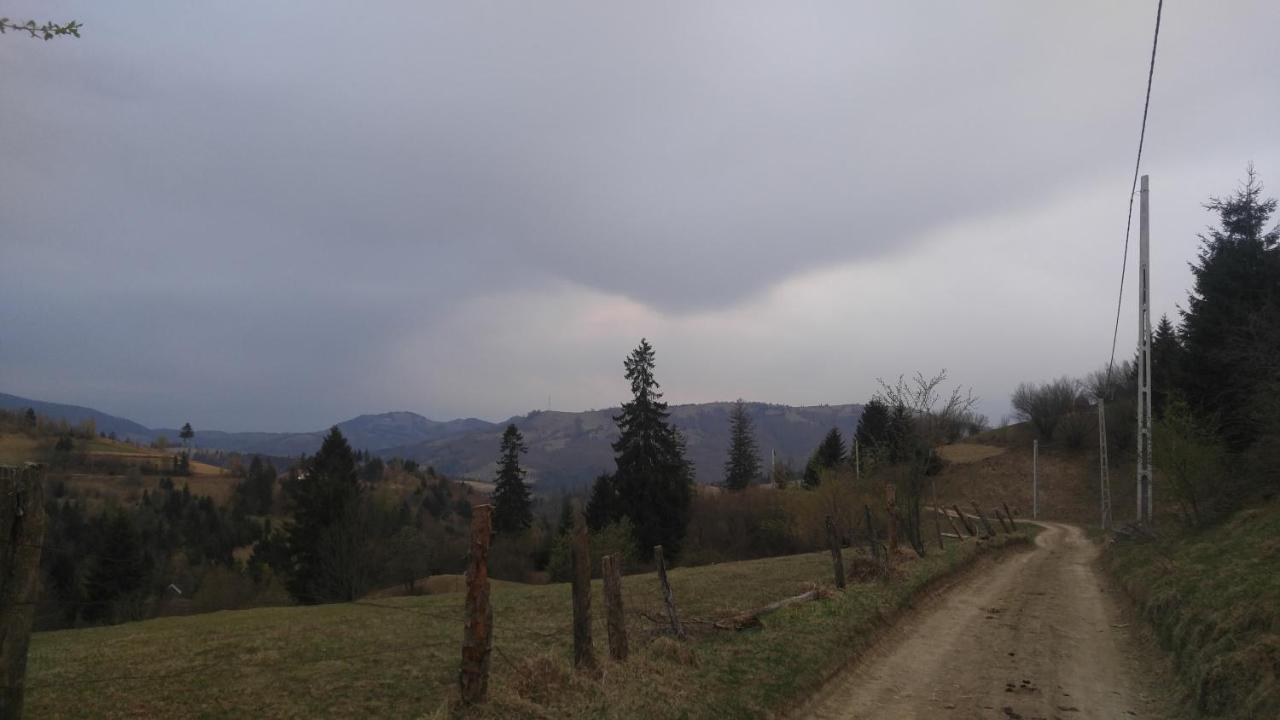 Tulean Cabin Săcel Exterior foto