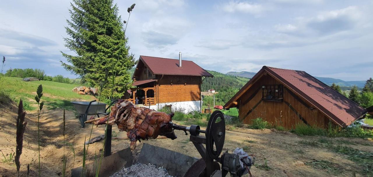 Tulean Cabin Bed and Breakfast Săcel Exterior foto